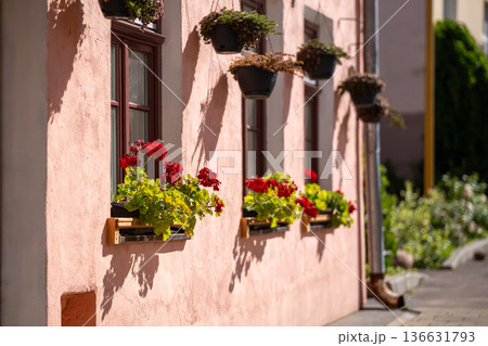 European building adorned with blooming red geraniums in window boxes European building adorned with blooming red geraniums in window boxes 136631793
