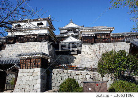 愛媛県　松山城・本壇 136631860