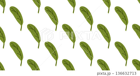 Spinach Leaf Seamless Food Pattern 136632713
