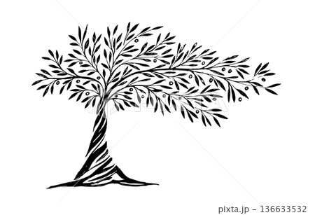 Hand draw abstract Olive tree. 136633532