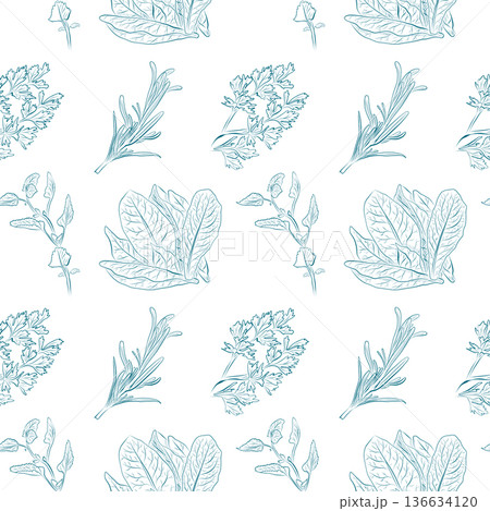 A seamless pattern of line drawings depicting herbs and lettuce leaves. 136634120
