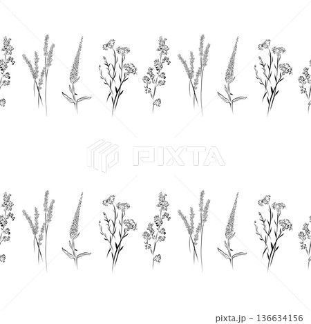 A seamless pattern of line drawings featuring a set of herbs and flowers. 136634156
