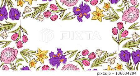 Flower spring border in line art style. Elegant botanical background with white space, ideal for greeting cards, invitations, banners and stationery design. 136634294