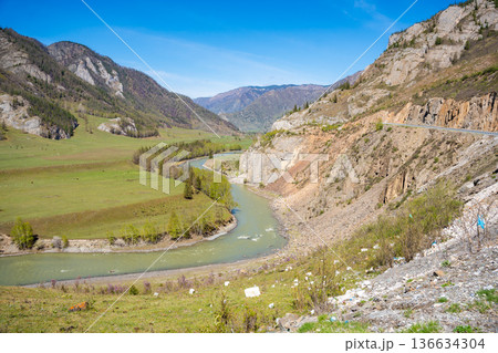 Chuya River flowing through dense forest and mountains in Altai Russia. Wild Siberian landscape showcasing pristine nature and natural terrain Chuya River flowing through dense forest and mountains in Altai Russia. Wild Siberian landscape showcasing pristine nature and natural terrain 136634304