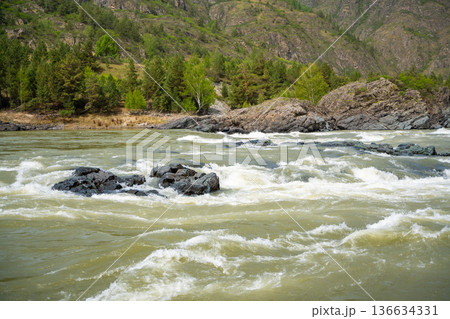 Yelandinsky rapid on the Katun river in Altai Russia. Powerful mountain stream crashing over rocks in famous rafting destination. Yelandinsky rapid on the Katun river in Altai Russia. Powerful mountain stream crashing over rocks in famous rafting destination. 136634331