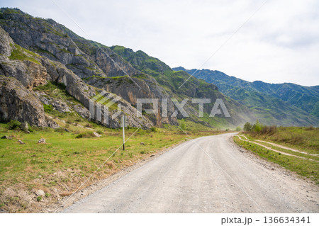 Mountain road running along the Katun river in Altai Russia. Scenic route winding through natural landscapes of the Altai mountains. 136634341