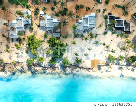 Aerial view of palm trees, umbrellas on the sandy beach, blue sea 136635759