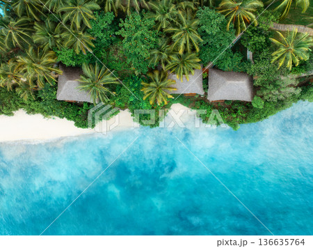 Aerial view of palms, bungalows, sandy beach, sea with waves Aerial view of palms, bungalows, sandy beach, sea with waves 136635764