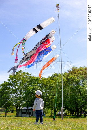 鯉のぼりを見上げる男の子の後ろ姿_縦 136636249