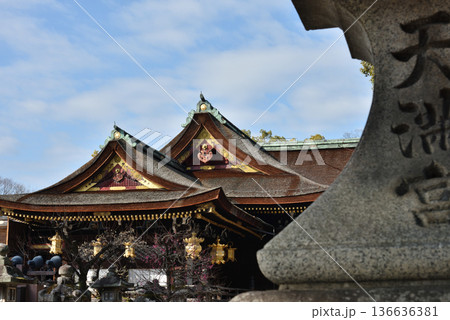 北野天満宮 早春の御本殿(京都市上京区) 北野天満宮 早春の御本殿(京都市上京区) 136636381