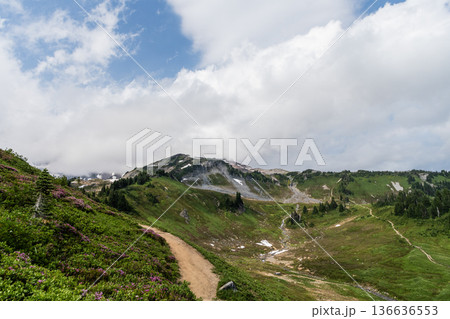 Nature of mixed forest. Landscape of scenery nature. Scenic landscape woodland. Hill landscape with forest. Nature mountain forest. Green forest wood landscape in mountain. Wild pine grove 136636553