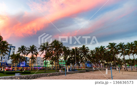 Summer vacation in Miami south beach, Florida. Palm tree on sunny day. Tropical beach in Miami. Tropical outdoor scene with palm tree. Tropical summer vacation. Palm tree Summer vacation in Miami south beach, Florida. Palm tree on sunny day. Tropical beach in Miami. Tropical outdoor scene with palm tree. Tropical summer vacation. Palm tree 136636573