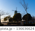 霞ヶ浦総合公園冬の朝陽照らす風車 136636624