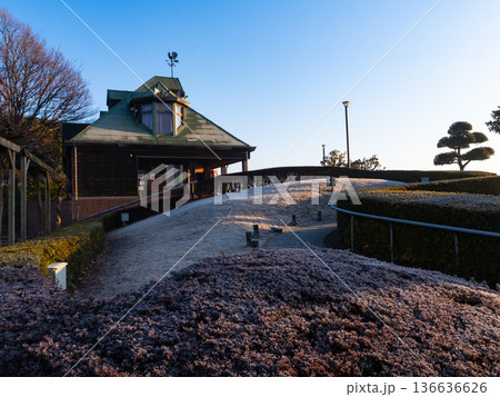 霞ヶ浦総合公園冬の朝陽照らすネイチャーセンター 136636626