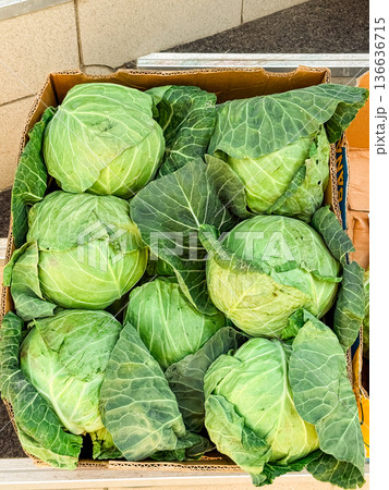 Fresh cabbage heads in cardboard box at market counter. Agriculture harvest, organic produce, farm supply, healthy nutrition, vegetable trade, food retail 136636715