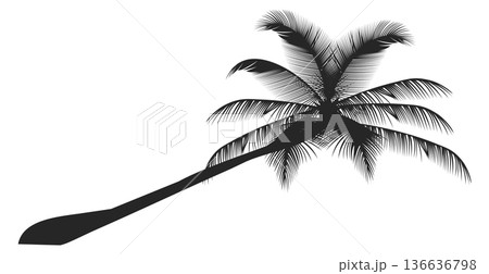 Coconut palm black icon. Tropical beach tree Coconut palm black icon. Tropical beach tree 136636798