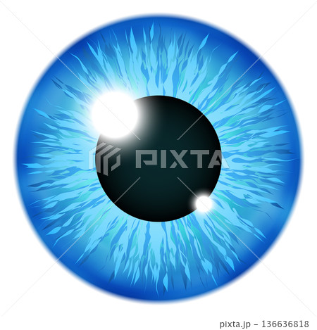Blue eye pupil. Realistic color vision icon 136636818