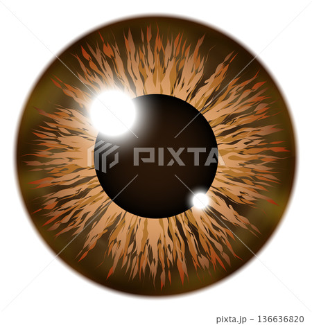 Brown retina eye. Chestnut eyeball color icon Brown retina eye. Chestnut eyeball color icon 136636820