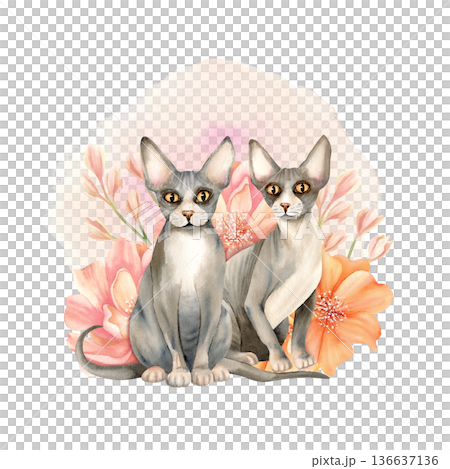 Illustration hairless Sphynx cats surrounded by delicate flowers. Decorative composition for invitation or card. Cute floral kitty. Isolated Watercolor arrangement for International Cat Day design Illustration hairless Sphynx cats surrounded by delicate flowers. Decorative composition for invitation or card. Cute floral kitty. Isolated Watercolor arrangement for International Cat Day design 136637136