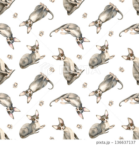 Sphynx cat, kitten paw seamless pattern. Watercolor Sphinx hairless, bald skin, domestic grey pet repeat ornament, isolated background. Hand painted illustration for packaging, animalistic textile Sphynx cat, kitten paw seamless pattern. Watercolor Sphinx hairless, bald skin, domestic grey pet repeat ornament, isolated background. Hand painted illustration for packaging, animalistic textile 136637137
