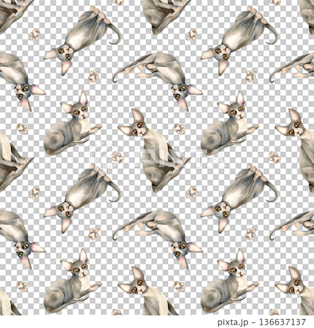 Sphynx cat, kitten paw seamless pattern. Watercolor Sphinx hairless, bald skin, domestic grey pet repeat ornament, isolated background. Hand painted illustration for packaging, animalistic textile Sphynx cat, kitten paw seamless pattern. Watercolor Sphinx hairless, bald skin, domestic grey pet repeat ornament, isolated background. Hand painted illustration for packaging, animalistic textile 136637137