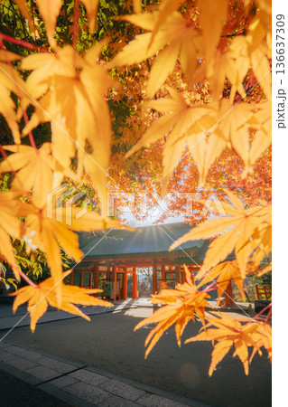 香取神宮 総門と紅葉の秋景色 136637309