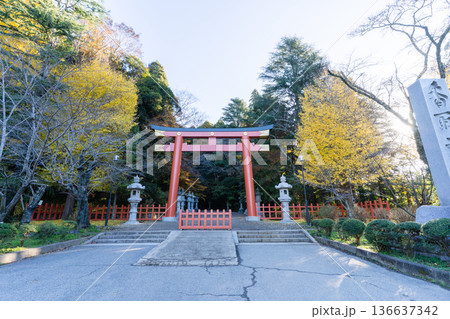 香取神宮 朱塗りの大鳥居と黄葉の秋景色 136637342