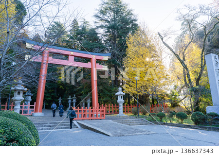 香取神宮 朱塗りの大鳥居と黄葉の秋景色 136637343