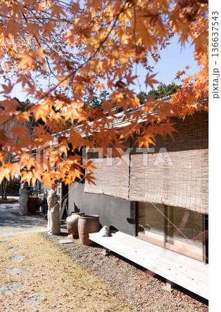 松山庭園美術館 紅葉と古民家に佇む秋の風景 松山庭園美術館 紅葉と古民家に佇む秋の風景 136637543
