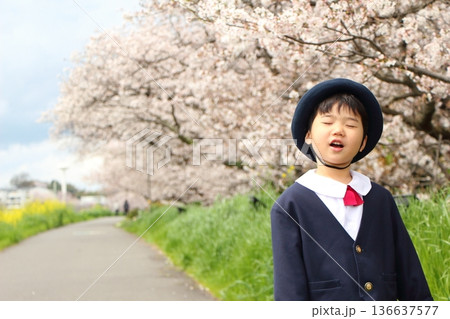 幼稚園の制服を着た幼児 入園式 卒園式 幼稚園の制服を着た幼児 入園式 卒園式 136637577
