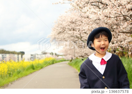 幼稚園の制服を着た幼児　入園式　卒園式 136637578