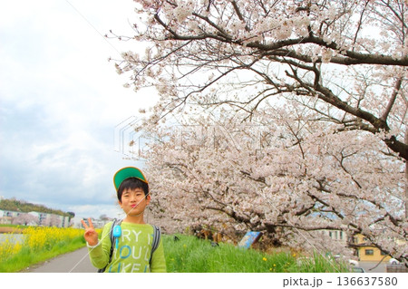 ランドセルを背負った小学生 136637580