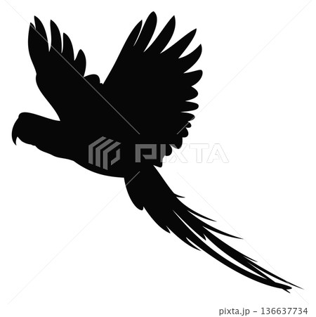 Flying parrot black silhouette. Exotic bird icon Flying parrot black silhouette. Exotic bird icon 136637734