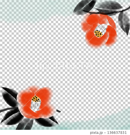 Japanese-style ink painting camellia template | Brush-drawn botanical background and design material Japanese-style ink painting camellia template | Brush-drawn botanical background and design material 136637831