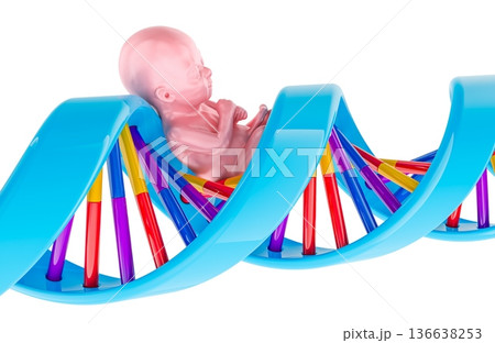 Human embryo inside DNA helix. Genetics heredity and reproductive biotechnology, 3D rendering Human embryo inside DNA helix. Genetics heredity and reproductive biotechnology, 3D rendering 136638253