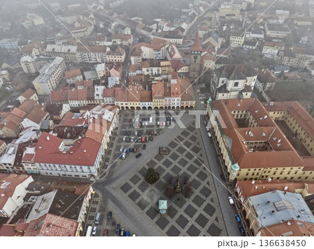 Aerial Perspective Illustrating Structured Pathways And Prominent Fountain In Crowded Urban Area 136638450