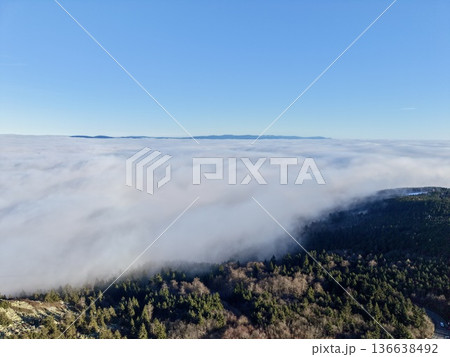 Soft Morning Mist Envelops Shoreline Forests With Distant Island Outlines And Calming Tones 136638492