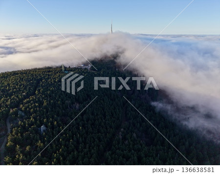 Early Morning Vista Over Forest, Aerial View Capturing Tower Above Dense Fog And Green Treetops Early Morning Vista Over Forest, Aerial View Capturing Tower Above Dense Fog And Green Treetops 136638581