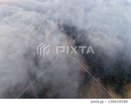 Serene Early Morning Fog Enveloping Peaceful Forest Canopies With Muted Tones And Soft Shadows Serene Early Morning Fog Enveloping Peaceful Forest Canopies With Muted Tones And Soft Shadows 136638596