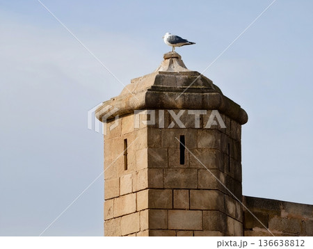 Seagull Overlooks Harbor, Seagull Stands On Castle Tower Observing Passing Boats Under Expansive Sky Seagull Overlooks Harbor, Seagull Stands On Castle Tower Observing Passing Boats Under Expansive Sky 136638812