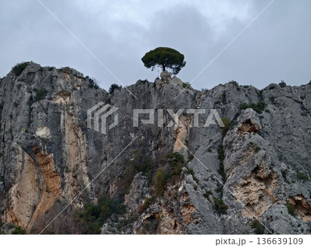 Solitary Pine Tree Perched Atop Jagged Rocks At Twilight Creating Dramatic And Inspiring Visual Narrative 136639109