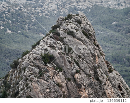 Rugged Landscape Adventure, Jagged Mountain Crest Spans Expansive Verdant Valley Beneath Diffuse Daylight 136639112