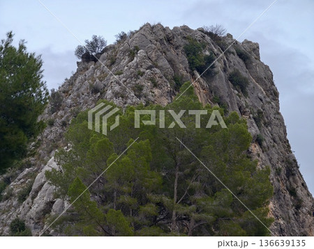 Limestone Peak Scenery, Tall Limestone Pinnacle Featuring Pine Clusters At Base And Textured Vertical Face 136639135