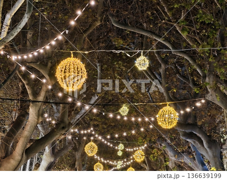 Illuminated Tree Canopy, Gentle Glow From Spherical Bulbs Decorates Night Market Scene Beautifully Illuminated Tree Canopy, Gentle Glow From Spherical Bulbs Decorates Night Market Scene Beautifully 136639199