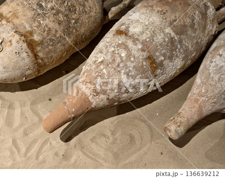 Intimate View Of Saltencrusted Amphora Necks Displaying Craftsmanship And Maritime Residue Clues Intimate View Of Saltencrusted Amphora Necks Displaying Craftsmanship And Maritime Residue Clues 136639212