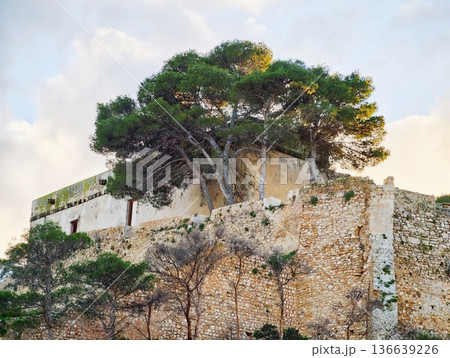 Sundrenched Summit With Pine Trees, Elevated Citadel Featuring Pine Trees And Panoramic Landscape Views Sundrenched Summit With Pine Trees, Elevated Citadel Featuring Pine Trees And Panoramic Landscape Views 136639226