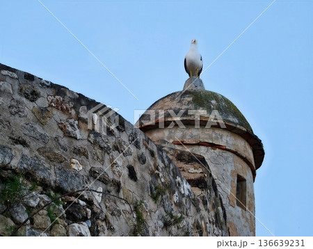 Ancient Stone Watchtower With Marine Bird, Weathered Coastal Tower Topped By Seagull Overlooking Sky 136639231