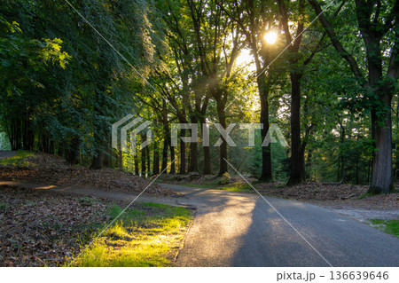 Landscape with sunset on the Veluwe Landscape with sunset on the Veluwe 136639646