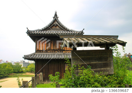 福岡城趾 福岡城趾 136639687