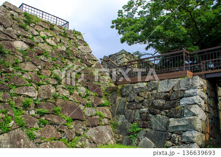 福岡城趾 136639693